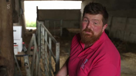 The Yorkshire Vet S18E11 Wedding Bells and Cow Bells XviD-AFG EZTV