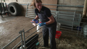 The Yorkshire Vet S19E02 1080p HDTV H264-DARKFLiX EZTV