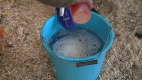 The Yorkshire Vet S19E03 1080p HDTV H264-DARKFLiX EZTV