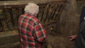 The Yorkshire Vet S19E10 1080p HDTV H264-DARKFLiX EZTV