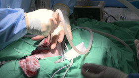 The Yorkshire Vet S19E13 1080p HEVC x265-MeGusta EZTV