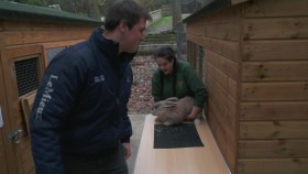 The Yorkshire Vet S19E14 1080p WEB H264-CBFM EZTV