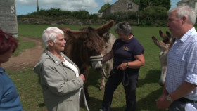 The Yorkshire Vet S19E18 A Donkey for Christmas 1080p HEVC x265-MeGusta EZTV