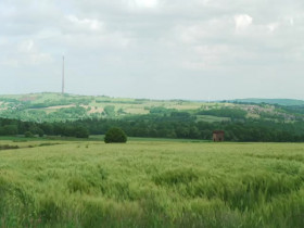 The Yorkshire Vet S19E18 REAL 480p x264-mSD EZTV