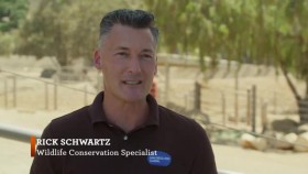 The Zoo San Diego S02E03 XviD-AFG EZTV