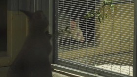 The Zoo San Diego S02E06 WEBRip x264-BAE EZTV