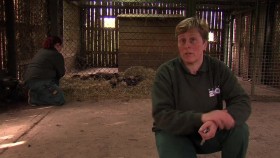 The Zoo UK S05E08 WEB x264-GIMINI EZTV