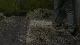 The Zoo US S05E02 Bouncing Troody 1080p HEVC x265-MeGusta EZTV