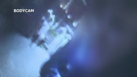 This Cop Life S01E01 Somebodys Got To Do It XviD-AFG EZTV