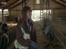 This Farming Life S04E06 480p x264-mSD EZTV