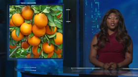 This Hour Has 22 Minutes S32E02 480p x264-RUBiK EZTV