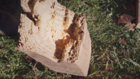 This Old House S46E02 720p HEVC x265-MeGusta EZTV