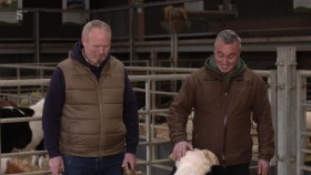 This Week On The Farm S03E01 720p HDTV x264-DARKFLiX EZTV