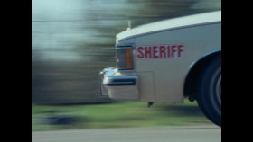 Tiger King Murder Mayhem and Madness S02E01 720p WEB h264-DELAYED EZTV