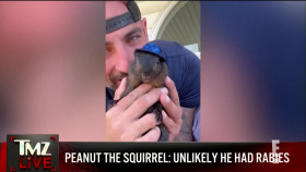 TMZ Live 2024 11 05 1080p WEB h264-BAE EZTV