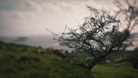 Tommy Tiernans Epic West S01E01 XviD-AFG EZTV