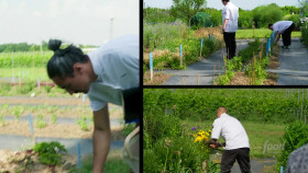 Top Chef Canada S11E05 Taste of the Terroir 1080p AMZN WEB-DL DDP5 1 H 264-NTb EZTV