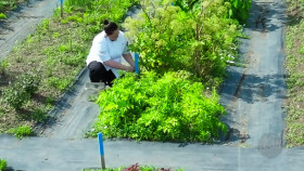 Top Chef Canada S11E05 Taste of the Terroir 1080p HEVC x265-MeGusta EZTV