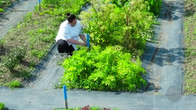 Top Chef Canada S11E05 Taste of the Terroir 720p HEVC x265-MeGusta EZTV