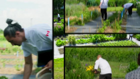 Top Chef Canada S11E05 Taste of the Terroir XviD-AFG EZTV