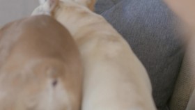 Total Bellas S06E05 Bye Bye Bella 1080p HULU WEBRip AAC2 0 H264-NTb EZTV