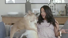 Total Bellas S06E05 XviD-AFG EZTV