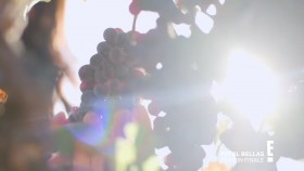 Total Bellas S06E09 From Gynos to Winos 720p HEVC x265-MeGusta EZTV