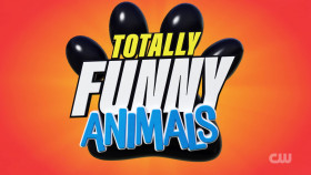 Totally Funny Animals S01E03 1080p WEB h264-EDITH EZTV