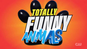 Totally Funny Animals S01E03 XviD-AFG EZTV