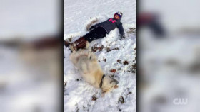 Totally Funny Animals S01E04 XviD-AFG EZTV