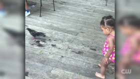 Totally Funny Animals S01E07 XviD-AFG EZTV