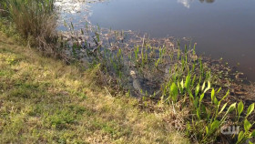 Totally Funny Animals S01E10 1080p WEB h264-EDITH EZTV