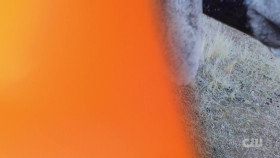 Totally Funny Animals S01E11 1080p WEB h264-EDITH EZTV