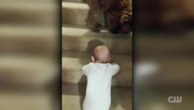 Totally Funny Animals S01E12 XviD-AFG EZTV