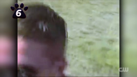 Totally Funny Animals S01E14 1080p HEVC x265-MeGusta EZTV