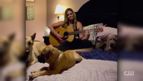 Totally Funny Animals S01E15 1080p HEVC x265-MeGusta EZTV