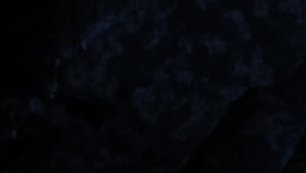 Tower of God S02E10 XviD-AFG EZTV