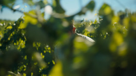 Tracker 2024 S02E04 Noble Rot 1080p AMZN WEB-DL DDP5 1 H 264-FLUX EZTV