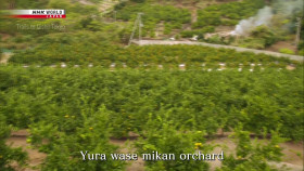 Trails to Oishii Tokyo S01E16 Mikan 1080p HDTV H264-DARKFLiX EZTV