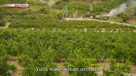 Trails to Oishii Tokyo S01E16 Mikan 720p HDTV x264-DARKFLiX EZTV