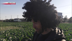 Train Cruise S12E01 One Line Inspires Generations in Chiba 1080p HDTV H264-DARKFLiX EZTV