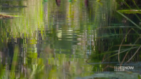 Travel Guides AU S01E05 Top End 720p 9NOW WEB-DL AAC2 0 x264-RTN EZTV