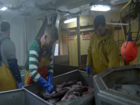 Trawlermen Hunting the Catch S01E01 480p x264-mSD EZTV