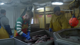 Trawlermen Hunting the Catch S01E01 720p WEBRip x264-SKYFiRE EZTV