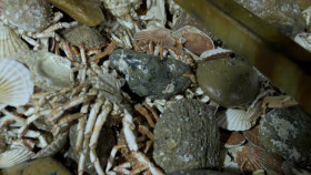 Trawlermen Hunting the Catch S01E03 XviD-AFG EZTV