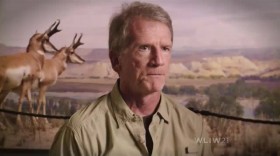 Treasures of New York American Museum of Natural History 720p x264 HDTV EZTV