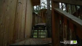Treehouse Masters S06E01 International Scandinavia HDTV x264-CRiMSON EZTV