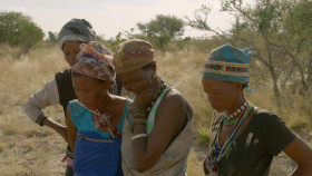 Tribes Predators And Me S01E02 Lion People of the Kalahari 1080p HEVC x265-MeGusta EZTV