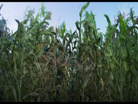 True Story with Ed and Randall S01E04 480p x264-mSD EZTV