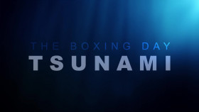 Tsunami S01E01 Impact 1080p HDTV H264-DARKFLiX EZTV